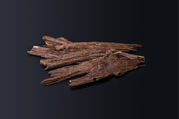 Agarwood sticks used for bakhoor and oud